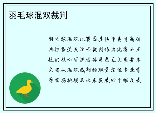 羽毛球混双裁判